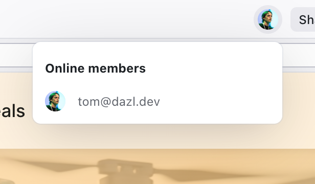 The Online members popover showing a connected user's avatar and email
