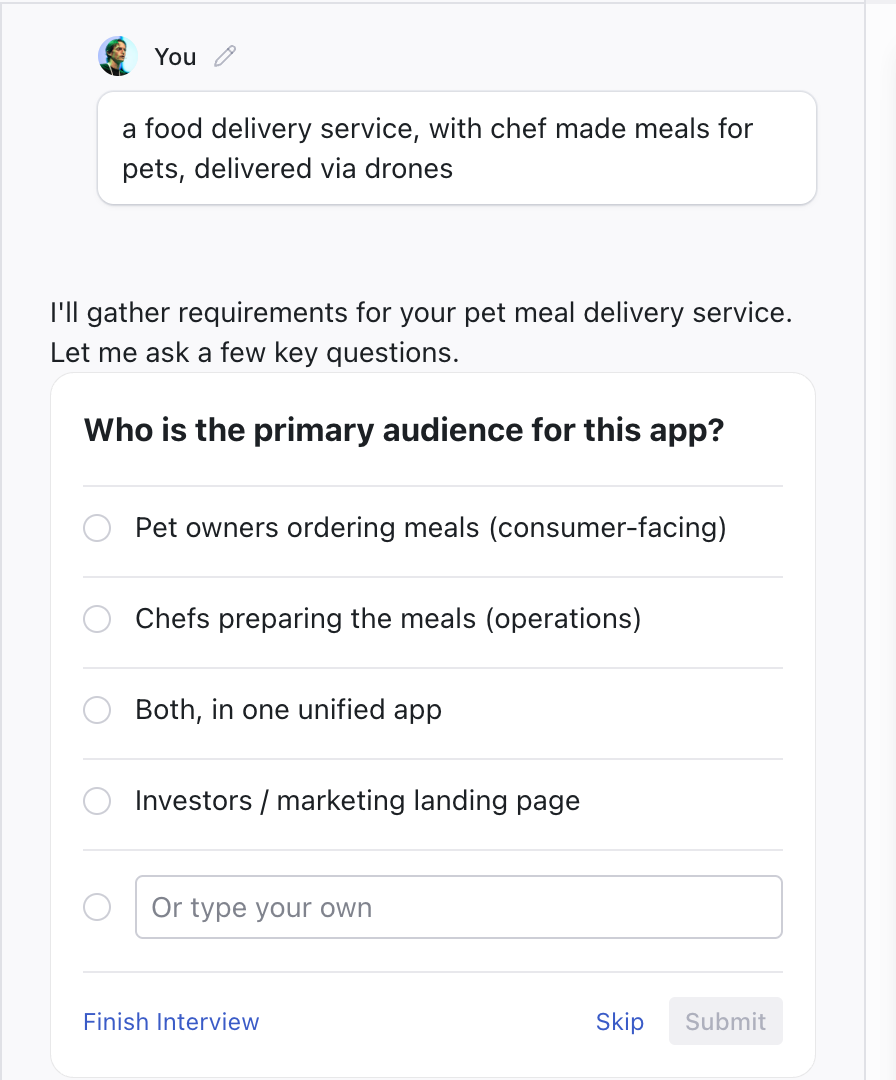 The interview asking "Who is the primary audience for this app?" in the Chat panel, with multiple-choice options and Finish Interview, Skip, and Submit controls